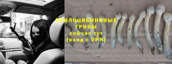 марки lsd Майский