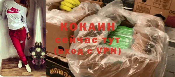 молекула духа Магадан