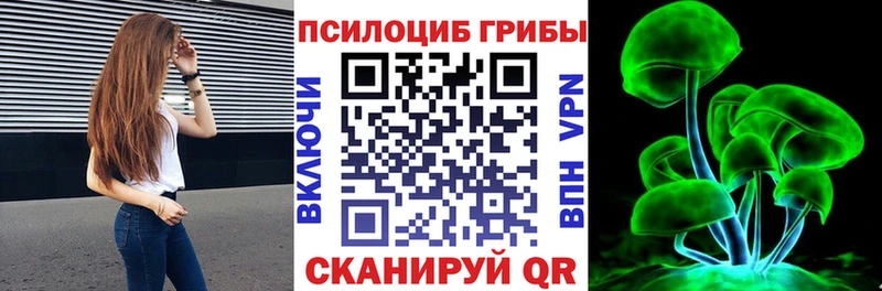 Псилоцибиновые грибы Cubensis Жердевка