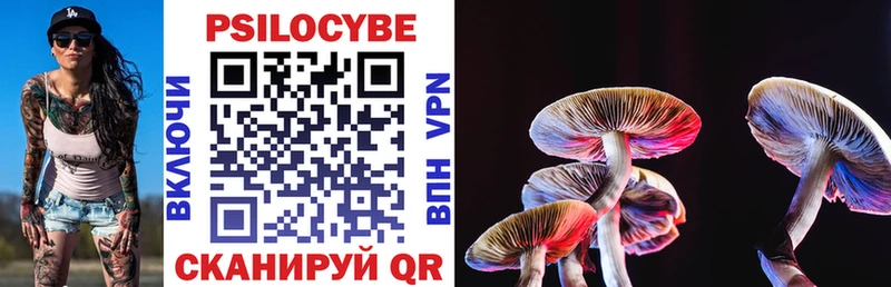 как найти   Жердевка  Псилоцибиновые грибы Magic Shrooms 