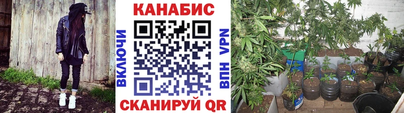 Каннабис план  как найти закладки  Жердевка 